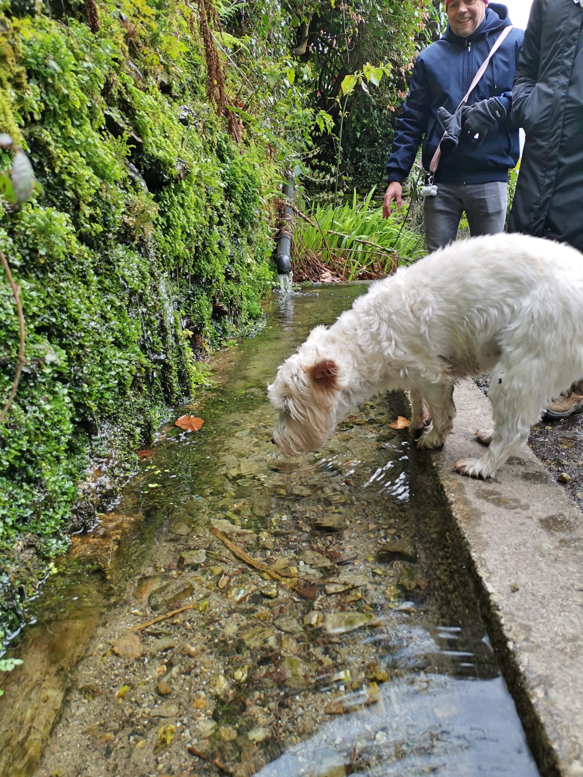 Lerryn To St Winnow Walk Cornwall 00007