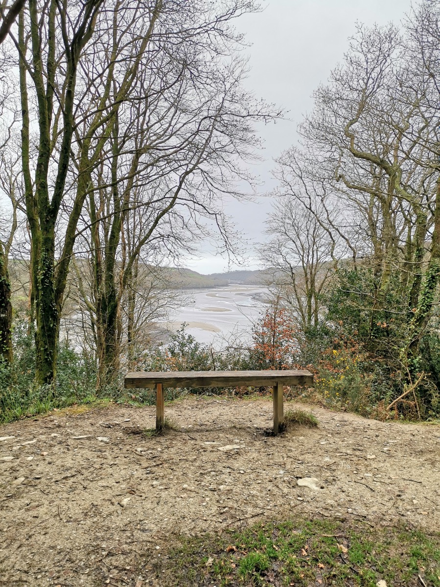 Lerryn To St Winnow Walk Cornwall 00012