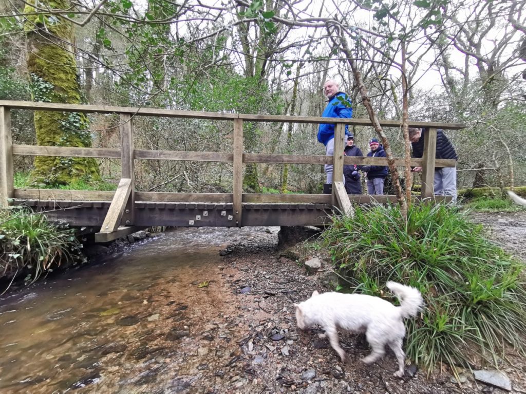 Lerryn To St Winnow Walk Cornwall 00017