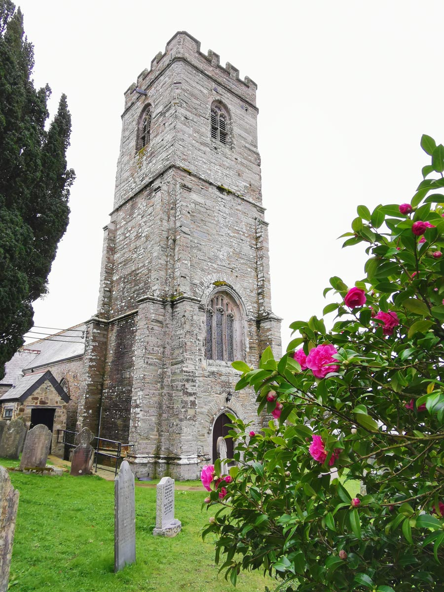 Lerryn To St Winnow Walk Cornwall 00018
