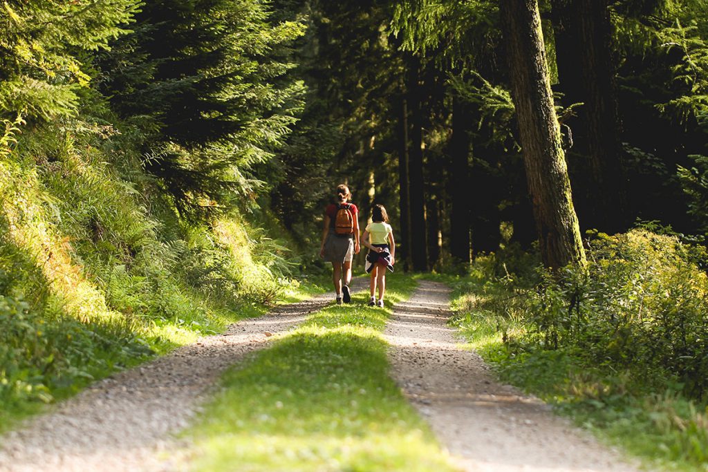 Walking Cornwall without the Car