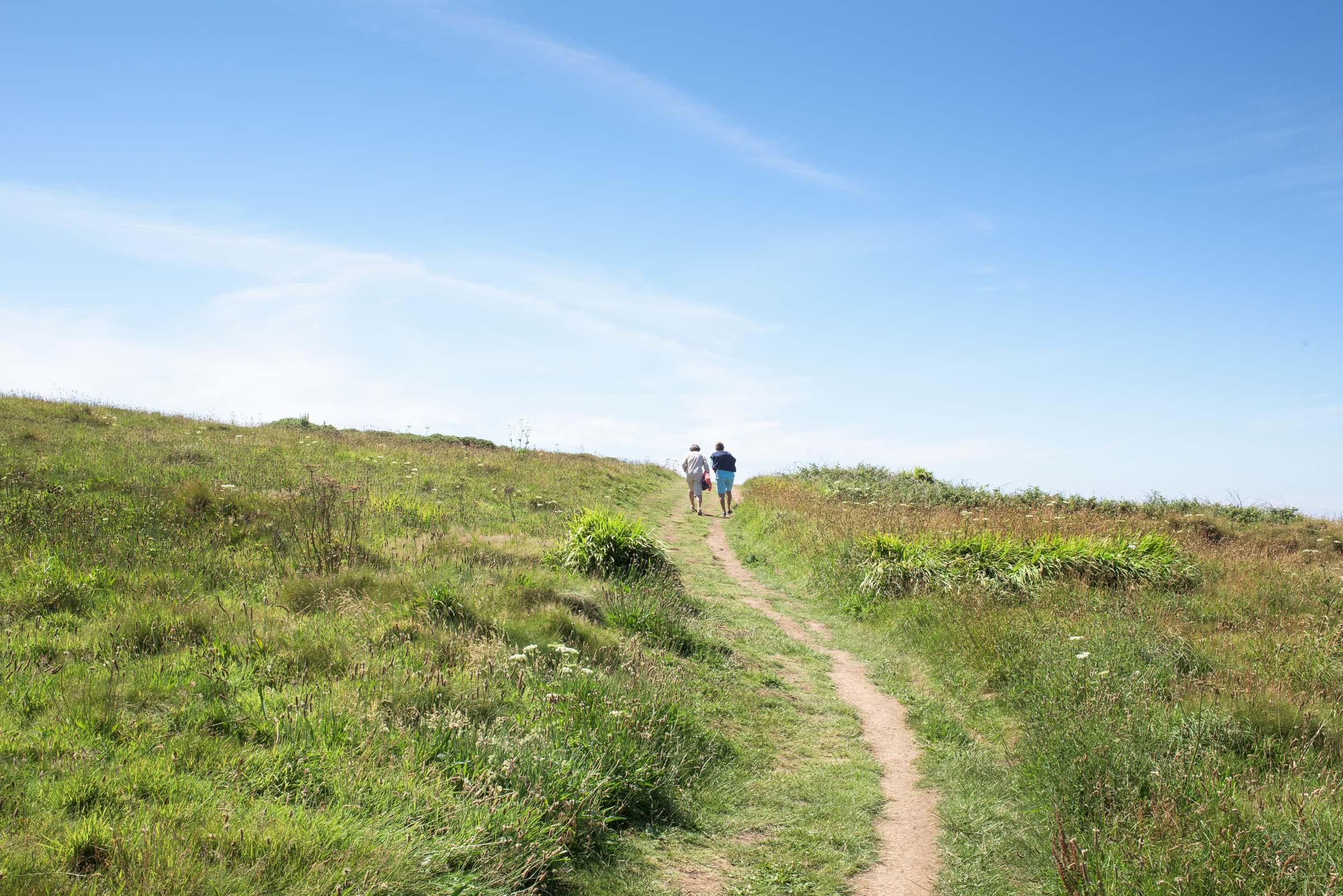 Newquay Pentire Headland group 2